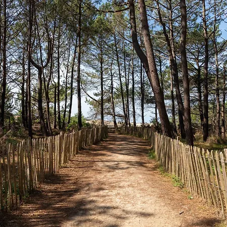 Maison Neuve Climatisee, 8 Pers, Proche Plages, Surf, Wi-fi, Terrasse, Parking, Menage Inclus - Fr-1-319-526 Biscarrosse