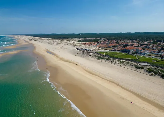 Vakantiehuis Maison Neuve Climatisee, 8 Pers, Proche Plages, Surf, Wi-fi, Terrasse, Parking, Menage Inclus - Fr-1-319-526 Biscarrosse